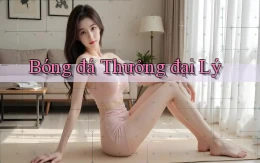 Bóng đá Thưởng đại lý