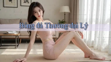 Bóng đá Thưởng đại lý