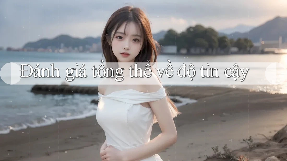 Đánh giá tổng thể về độ tin cậy Đánh giá tổng thể về độ tin cậy