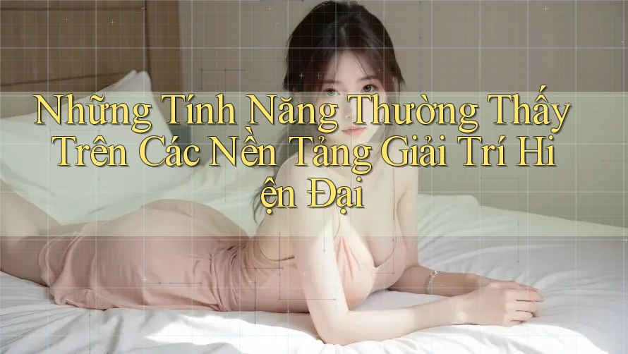 Những Tính Năng Thường Thấy Trên Các Nền Tảng Giải Trí Hiện Đại