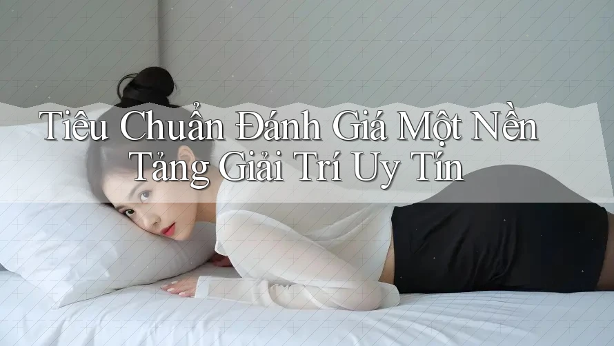 Tiêu Chuẩn Đánh Giá Một Nền Tảng Giải Trí Uy Tín