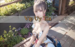 vip Uy tín